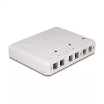 DeLOCK 67052 Sieninė dėžutė šviesolaidiniams moduliams, 6 prievadų, balta