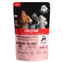 PetRepublic ADULT 100 g — filė su veršienos gabalėliais