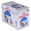 Šlapias kačių ėdalas Royal Canin Indoor Sterilized 85 g maišelis – suaugusioms sterilizuotoms katėms, paukštienos skonis, pakuotė 12 x 85 g