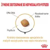 Sausas šunų ėdalas Royal Canin Pomeranian Adult 3 kg – suaugusiems Pomeranijos špicams