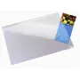Leitz Plus stalinis kilimėlis, permatomas, PVC, 650x500 mm, 1 vnt.