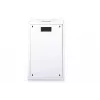 Sieninis tinklo stovas Digitus DN-19 20U-6/6