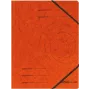 Kartoninis aplankas Herlitz 972463 A4 oranžinis