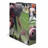 Segtuvas A4 Motif file American Football HERMA 20109