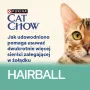 CAT CHOW Hairball Control Vištiena su Pupelėmis Padaže 85g