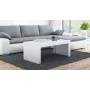 Cama TESS120 BI/BI kavos / šoninis / kampinis staliukas Kavos staliukas stačiakampė forma 2 koja (-os)