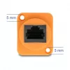 DeLOCK tinklo kabelis 90804 0,3 m Cat5e U/UTP RJ-45 juodai oranžinis