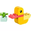 Kaladėlės DUPLO 30673 Mano Pirmoji Antis 4 viename