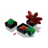 Lego Icons 10309 Sukulentai