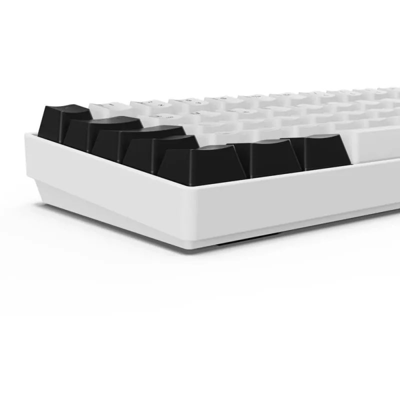 Klaviatūra Sharkoon SGK50 S4 60% balta RGB LED QWERTZ vokiškas išdėstymas USB