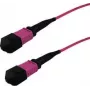 InfiniBand šviesolaidinis kabelis GRAFENTHAL GTOM4MPOUMPOU00100 1m MPO OM4 OFC violetinis