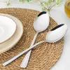 Serviravimo šaukštų rinkinys Salter BW09649 – 2 vnt., nerūdijantis plienas, tinka indaplovei