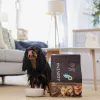 ADDVENA Boosted by superfoods suaugusių mažų šunų ėdalas su jautiena - sausas ėdalas - 2,5kg