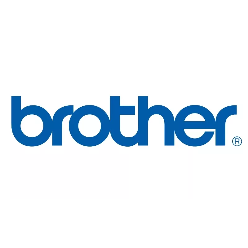 Brother D000K0001 PS PCB Unity DLFB 230V (SPEC) – originali BROTHER plokštė