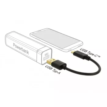 USB įkrovimo laidas DeLOCK 80954 Type-A į USB Type-C 3 A 15 cm