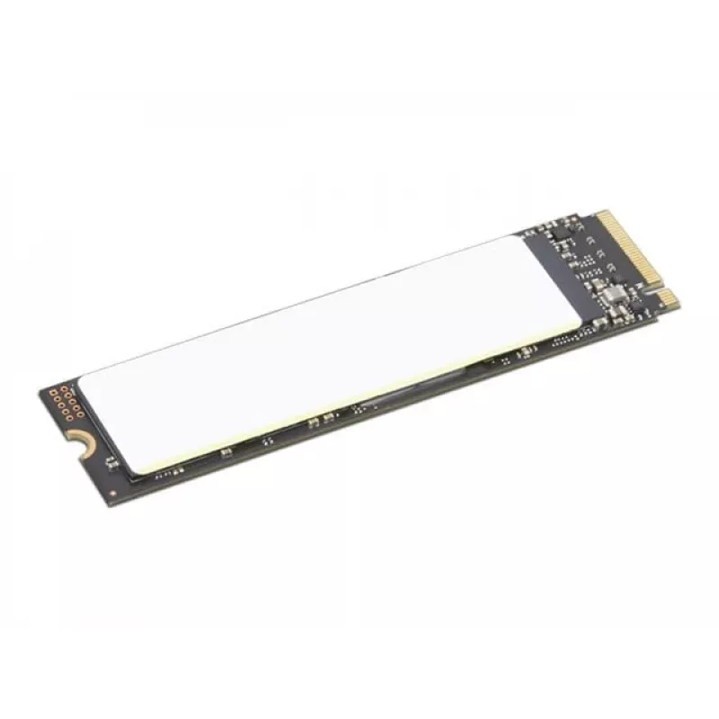 Lenovo 4XB1M86955 vidinis kietasis diskas 1 TB M.2 PCI Express 4.0 NVMe