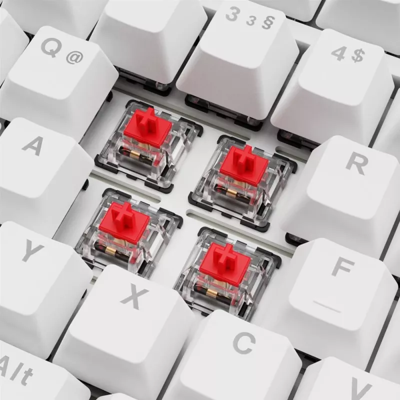 Klaviatūra Sharkoon SGK25 75% QWERTZ USB laidinė RGB LED balta