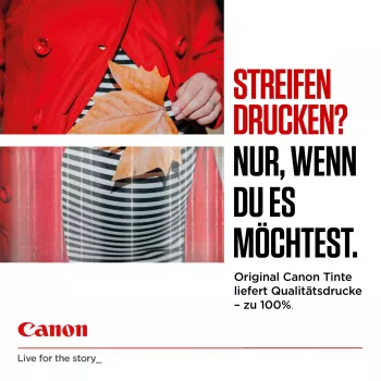 Canon 6204C001 rašalo kasetė 1 vnt. Originali didelės talpos (XL) juoda