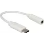 Garso adapteris DeLOCK 65913 0.14m 3.5mm USB-C baltas