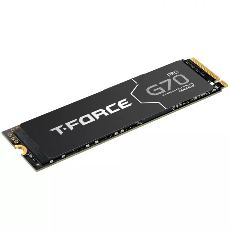 Team Group T-FORCE G70 Pro 2 TB PCIe 4.0 x4 | M.2 2280 | Grafeninis aušintuvas