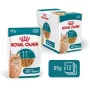 Šlapias kačių ėdalas Royal Canin FHN Ageing 11+ Gravy 12×85 g – visavertis ėdalas senjorams