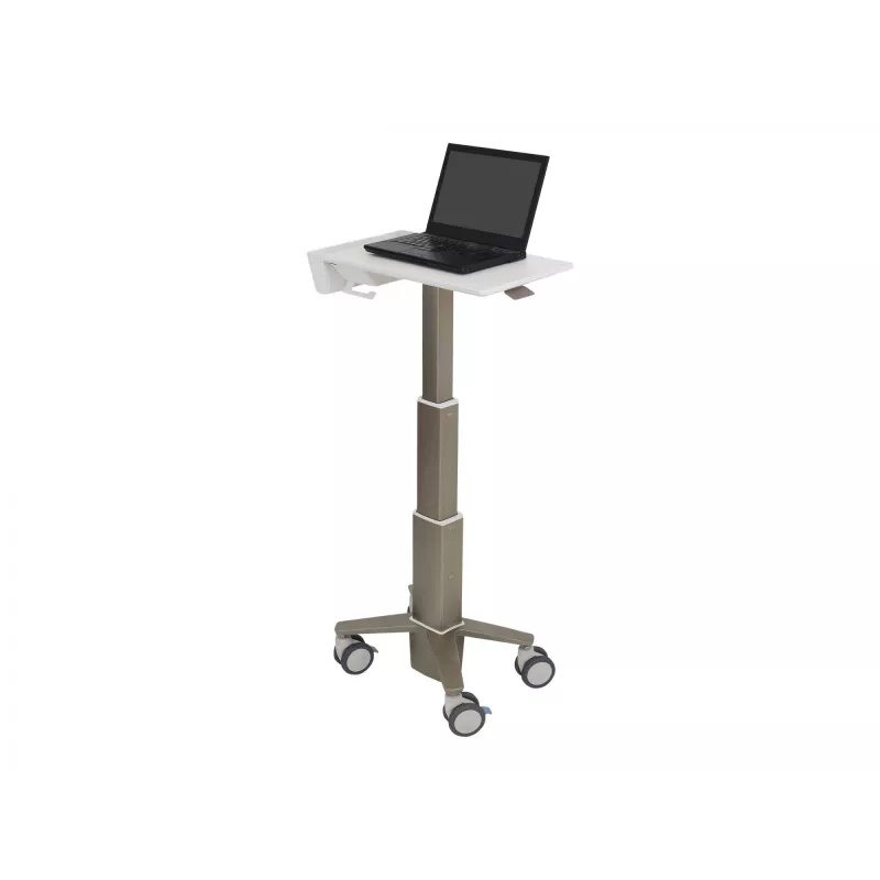 Nešiojamojo kompiuterio stovas Ergotron C50-1100-0 Pilka 39,6 cm