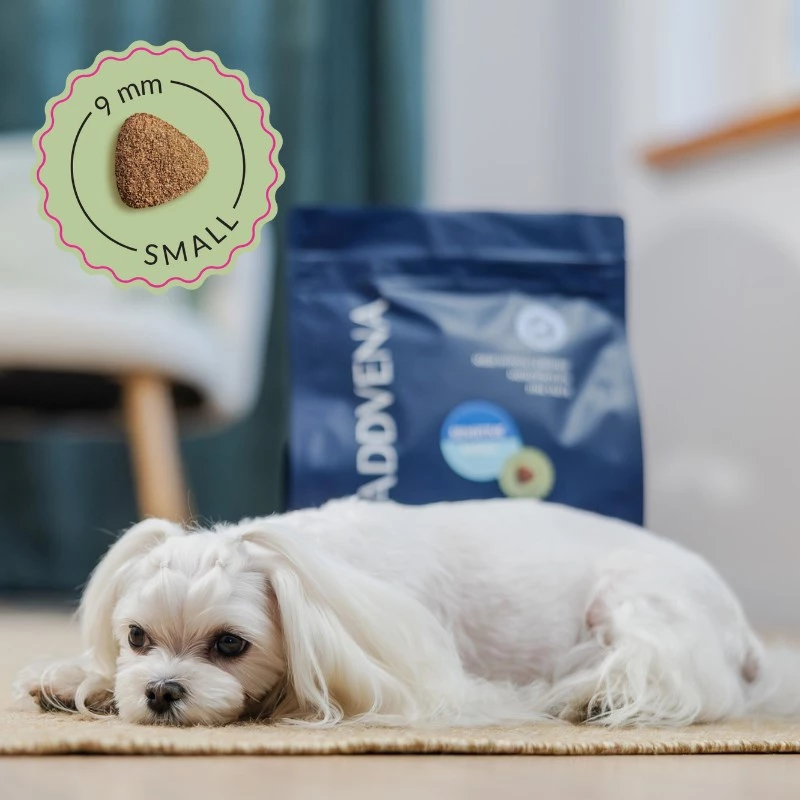 ADDVENA Power of Nature Adult Sensitive Small Ėriena - sausas šunų ėdalas - 2,5 kg