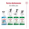 Sausas šunų ėdalas Royal Canin Mini Adult 8+ 2 kg – smulkioms veislėms 5–10 kg, paukštiena, svorio kontrolės formulė