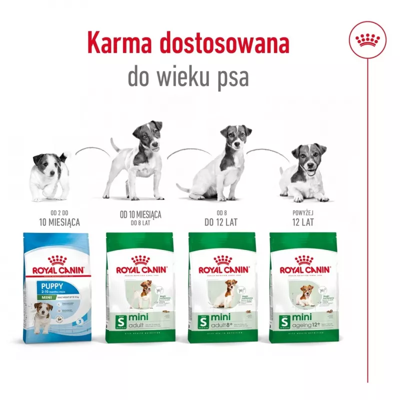 Sausas šunų ėdalas Royal Canin Mini Adult 8+ 2 kg – smulkioms veislėms 5–10 kg, paukštiena, svorio kontrolės formulė