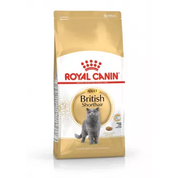 Sausas ėdalas katėms Royal Canin British Shorthair Adult 2 kg – paukštiena, 34% baltymų, 19% riebalų