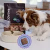 ADDVENA Boosted by superfoods suaugusiems vidutinėms/didelėms veislėms Jautiena - sausas šunų ėdalas - 2,5kg