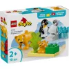 LEGO DUPLO 10442 Laukiniai gyvūnai: Pingvinai ir Liūtai
