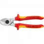 Šoniniai pjaustytuvai Knipex 95 16 165
