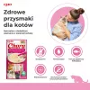 INABA Churu skanėstai katėms su tunu ir krevetėmis 4x14 g