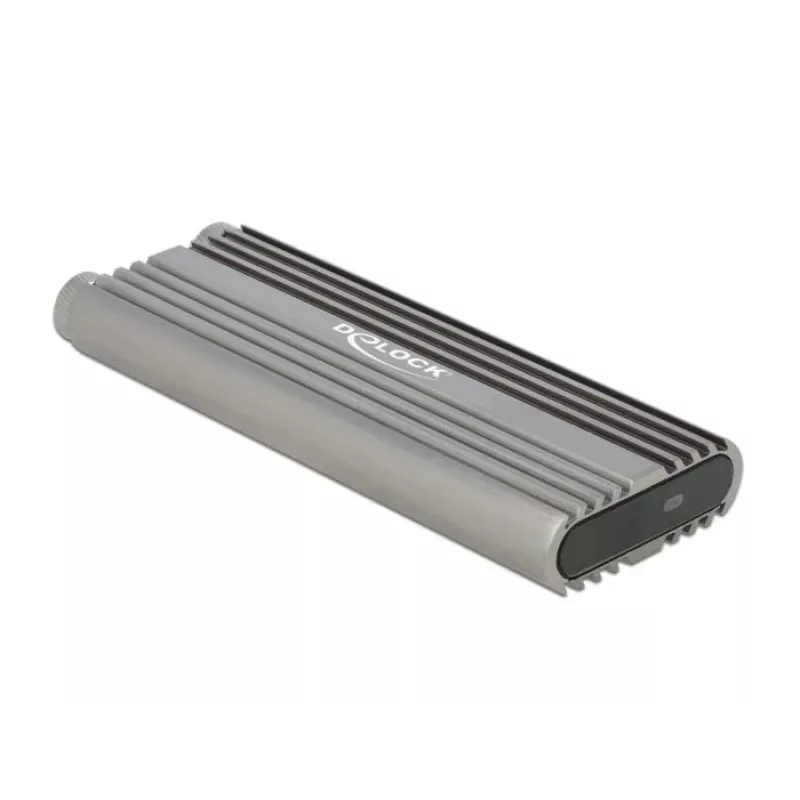 Išorinis SSD korpusas DeLOCK 42001 Sidabrinis M.2 NVMe