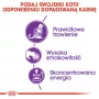Sausas kačių maistas Royal Canin Sensible 33 Adult 2 kg