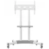 ONKRON TS1351-W Universalus grindinis TV stovas 32–65 colių, baltas