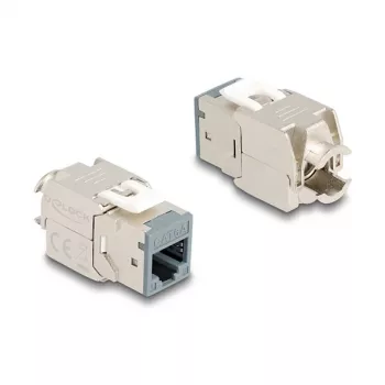 DeLOCK keystone modulis 88120 Plokščias RJ-45 Pilka 10 vnt