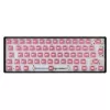 White Shark Roserift mechaniniai klaviatūros jungikliai, 65 vnt.