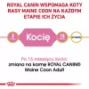 ROYAL CANIN Maine Coon Kitten – sausas ėdalas kačiukams – 4 kg