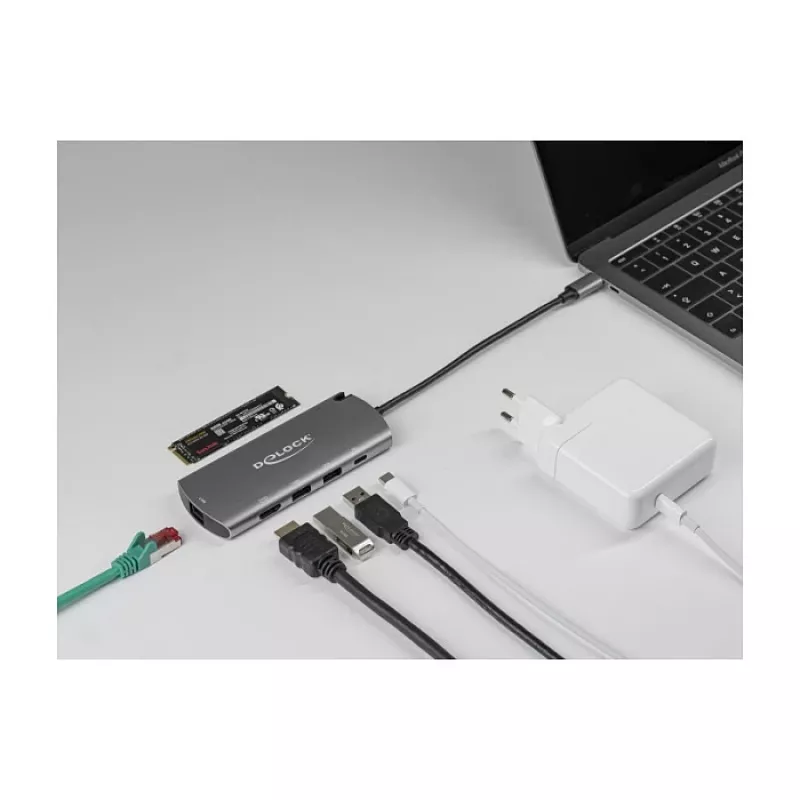 DeLOCK USB Type-C doko stotelė su M.2 lizdu