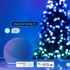 Twinkly Candies LED Kalėdinės eglutės lemputės TWKC100RGB-T 6 m žvakės formos