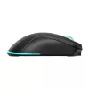 Pelė Baracuda BGM-121 Turtle Black USB