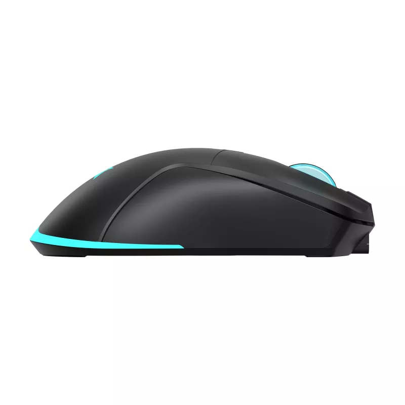Pelė Baracuda BGM-121 Turtle Black USB