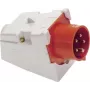 Pramoninis CEE kištukas AS Schwabe 60435 16A 5 polių 400V
