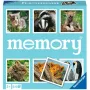 Atminties žaidimas „Tierkinder“ – RAVENSBURGER