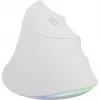 NATEC Crake 2 Pro vertikali pelė, dešinei rankai, USB-A, optinė, 12800 DPI, balta