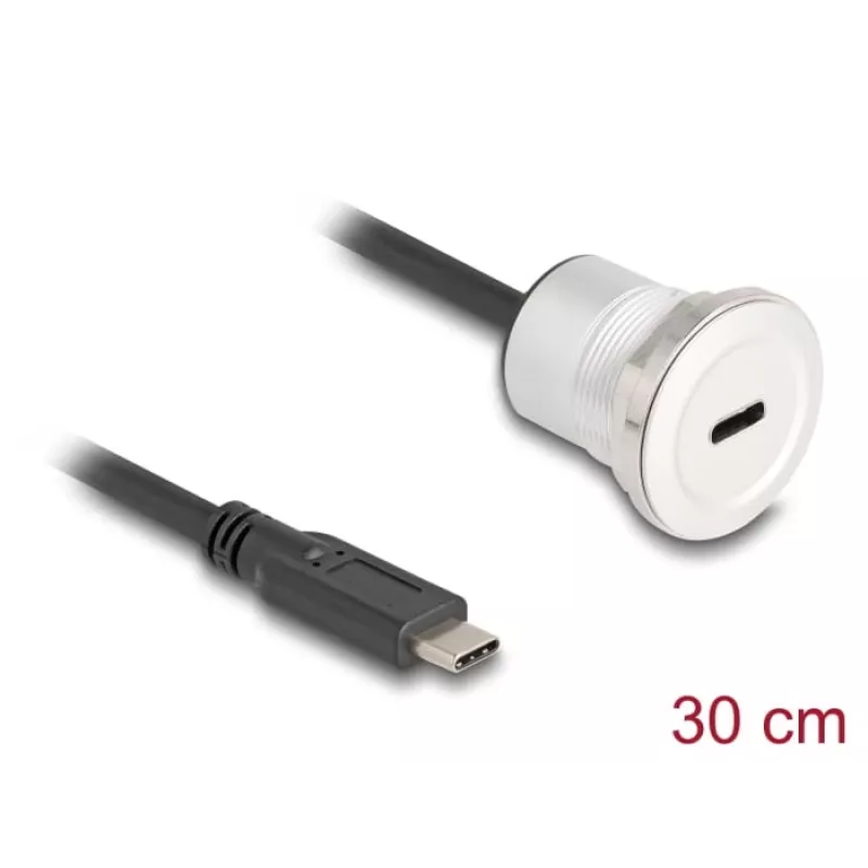 USB-C laidas DeLOCK 88183 0,3 m, juodas sidabrinis