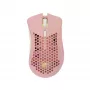 Pelė White Shark WGM-5012 Lionel Pink USB