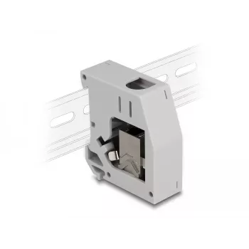 DeLOCK DIN bėgelio adapteris RJ45 lizdas – RJ45 lizdas Cat.6A pilka